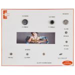 Remache I 5-CC 1719-12  CF