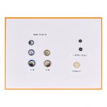 Boton Poliester V 15-100569-28 C. 1316