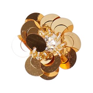 Aplicacion Lentejuelas I 176-98933201