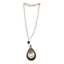 I-254/Collar_I-254_01022