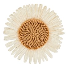 V-505/Broche_V-505_A866
