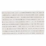Aplicacion Transfer Strass V 152-PH034