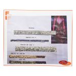 Galon Transfer Strass V 57-856115COL1