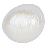 Boton Perla V 98-VERNICIATO PERLA