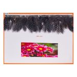 Fleco Plumas V 42-50045 C.613