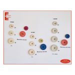 Boton I-234-527BR