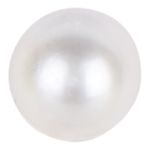 Boton Perla V 4-B 100 C. TRANSPARENTE BERNIZADO PERLA