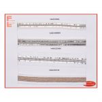 Galon Fantasia V-406-HWM668