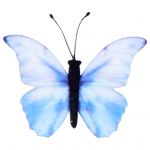Adorno Varios V 283-YL
