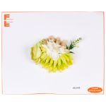 Flor V 262-PE 0162