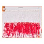 Fleco Plumas V-642-PAO373