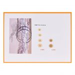 Boton Poliester V 17-32547-16,18,20,24 C.25018