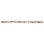 Galon Transfer Strass V 288-856148-0099