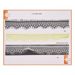 Puntilla Nylon V-611-PB20-0050