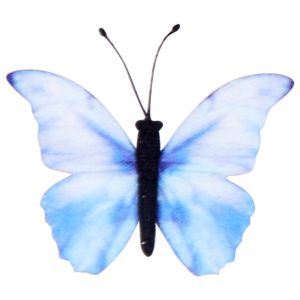 Adorno Varios V 283-YL