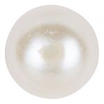 Boton Perla V 5-582001 C.1 12-14-16-18-20